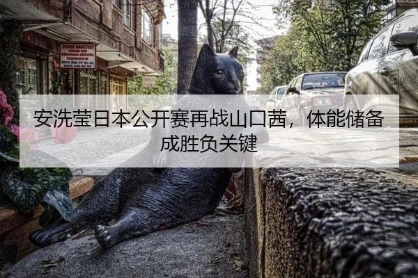 安洗莹日本公开赛再战山口茜，体能储备成胜负关键