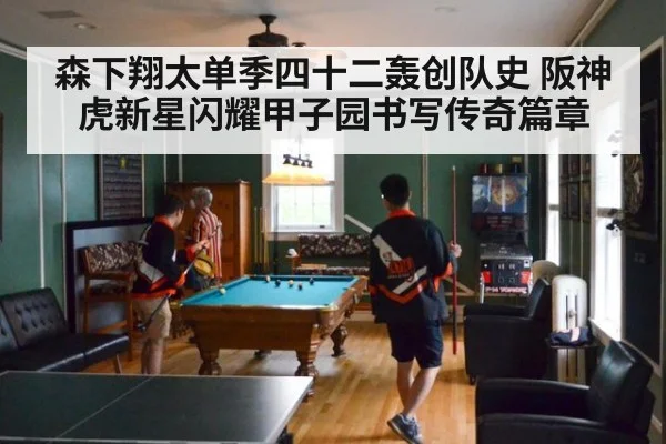 森下翔太单季四十二轰创队史 阪神虎新星闪耀甲子园书写传奇篇章